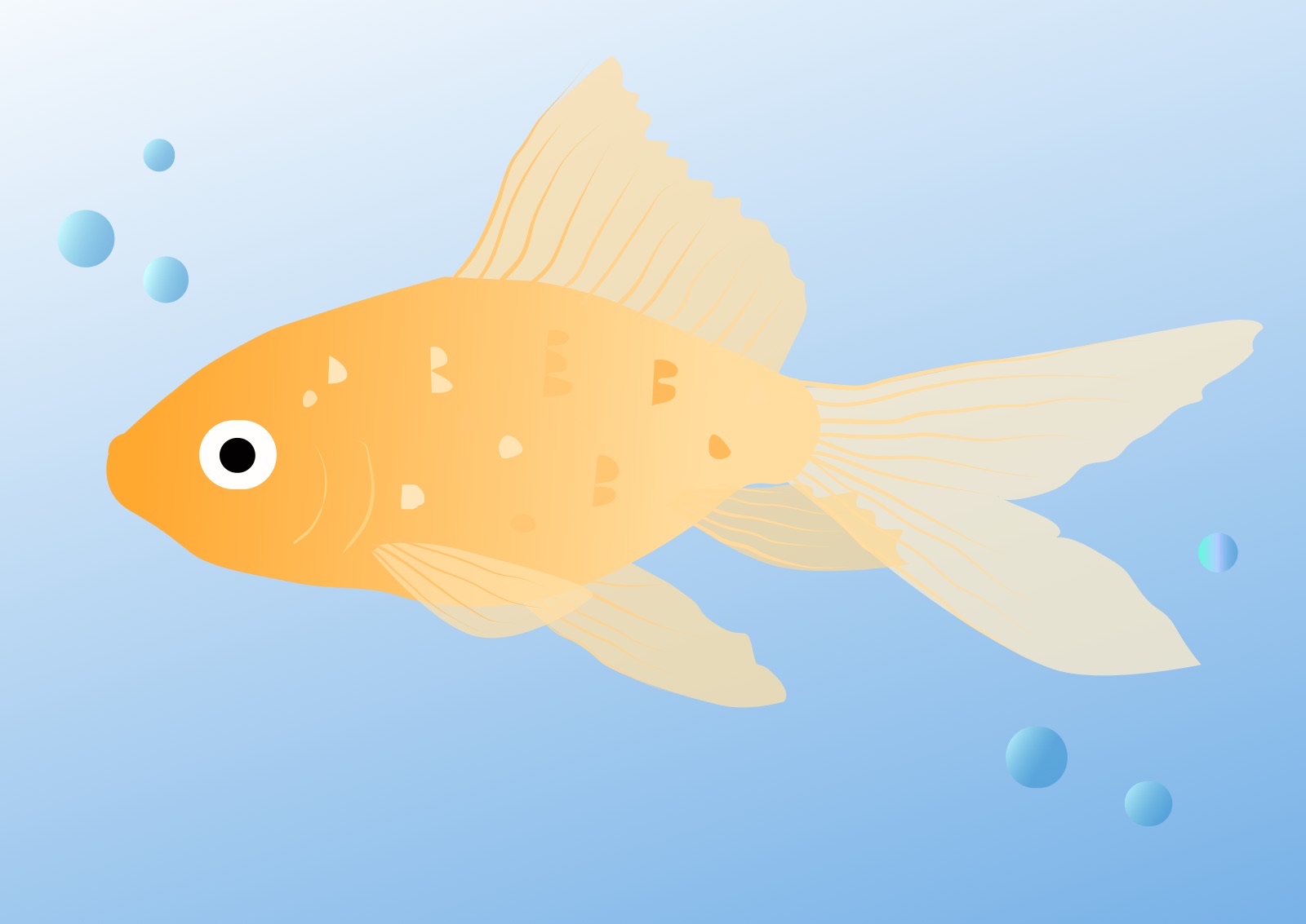 How To Draw A Goldfish